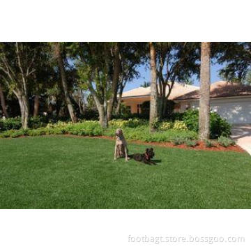 11000dtex Landscaping Artificial Pet Grass Mat For Garden D